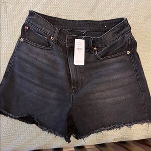 American Eagle Outfitters Dark Denim Jean Shorts